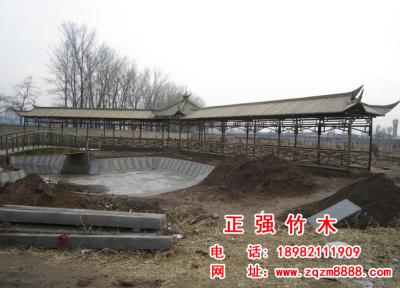 竹長廊 5